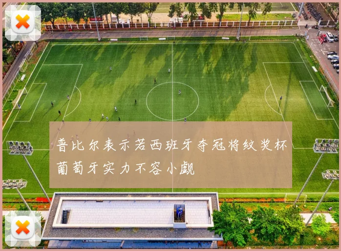 普比尔表示若西班牙夺冠将纹奖杯葡萄牙实力不容小觑