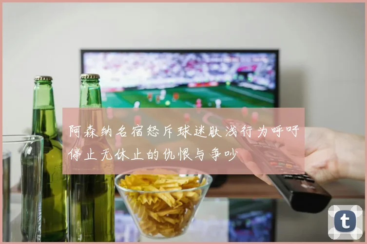 阿森纳名宿怒斥球迷肤浅行为呼吁停止无休止的仇恨与争吵