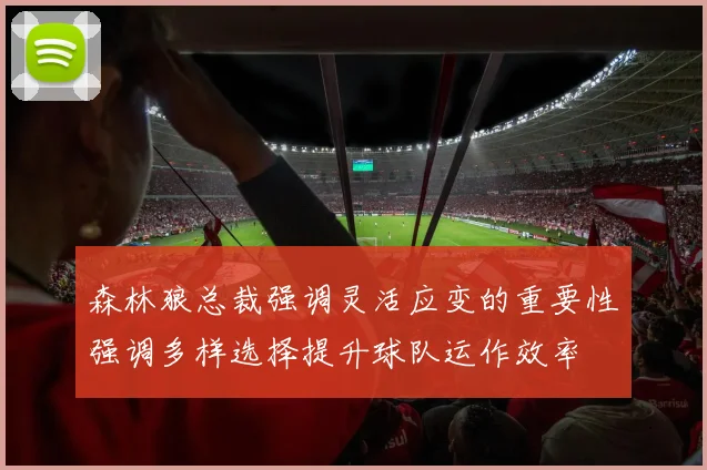 森林狼总裁强调灵活应变的重要性强调多样选择提升球队运作效率